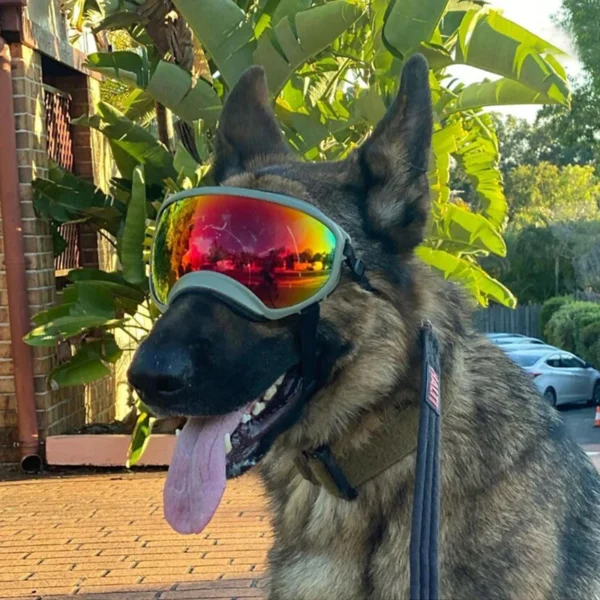 UV Protection Dog Goggles