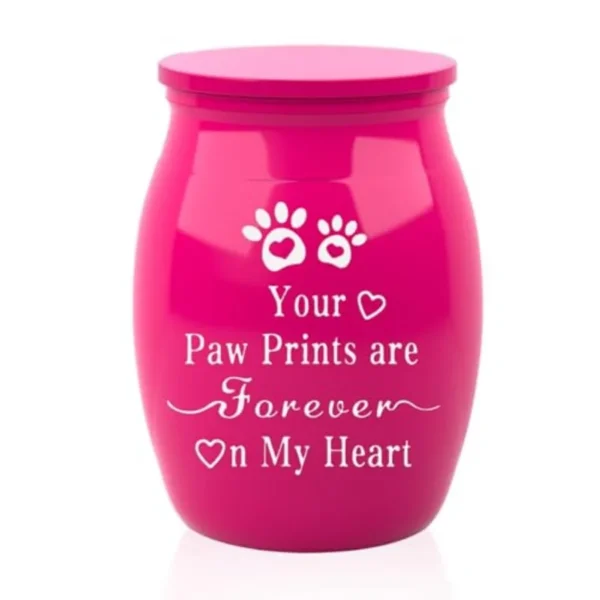 Mini Pet Ashes Keepsake Urn