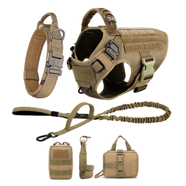 Large Dog Harness Leash Set