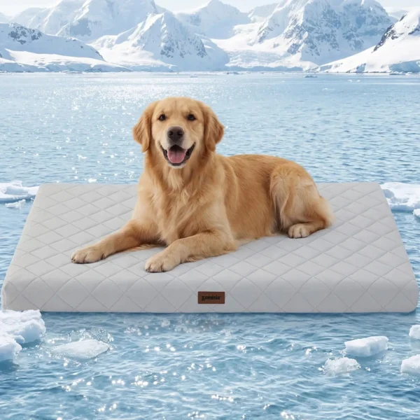 XXL Orthopedic Cooling Dog Bed